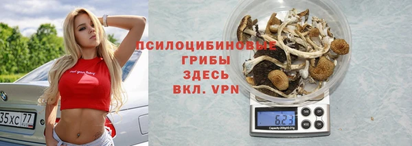 дживик Михайлов