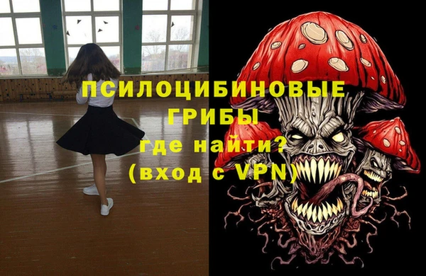 сатива Мегион