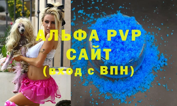 гашик Михайловск