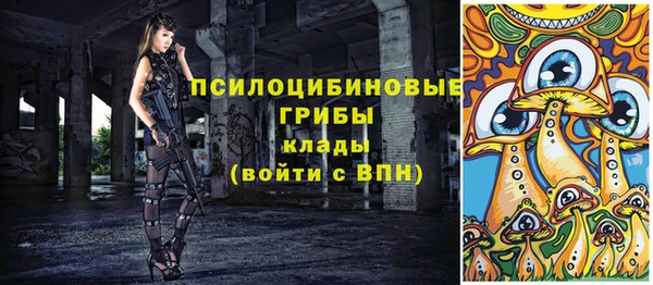 дживик Михайлов
