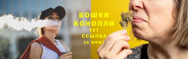 гашик Михайловск