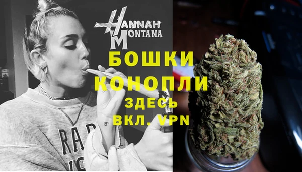 гашик Михайловск