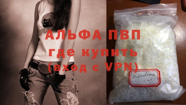 гашик Михайловск