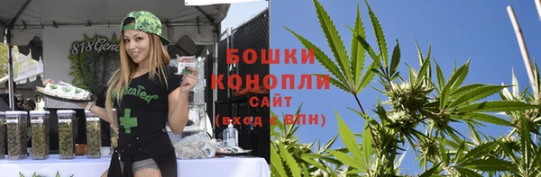 гашик Михайловск