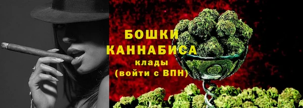 гашик Михайловск