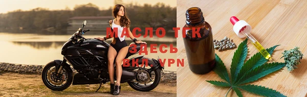 гашик Михайловск
