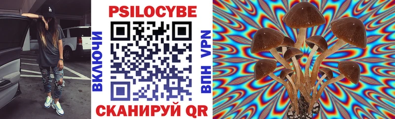 Псилоцибиновые грибы Psilocybine cubensis Тында