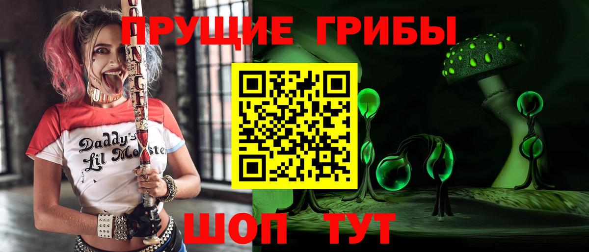 Галлюциногенные грибы Psilocybe  Тында 